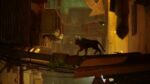 Stray - Image 2
