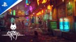 Stray - Image 3