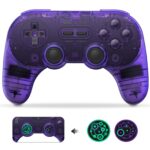 8BitDo Pro 2 Transparent Purple